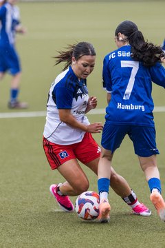 Bild 366 - wBJ Hamburger SV - FC Suederelbe : Ergebnis: 9:0